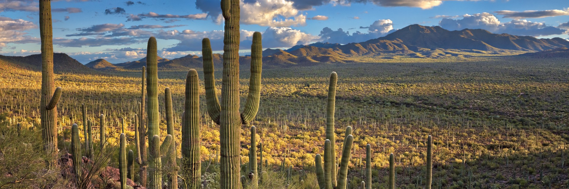 Baja California