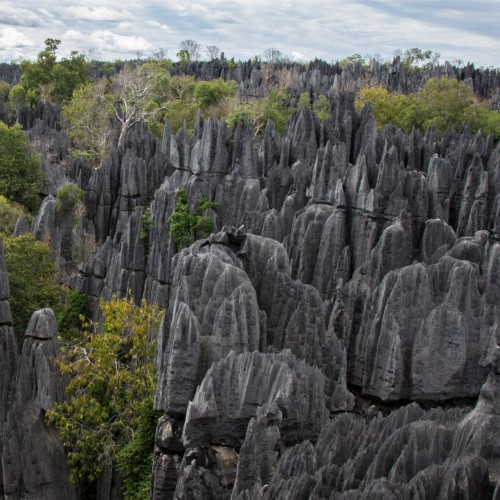Madagascar