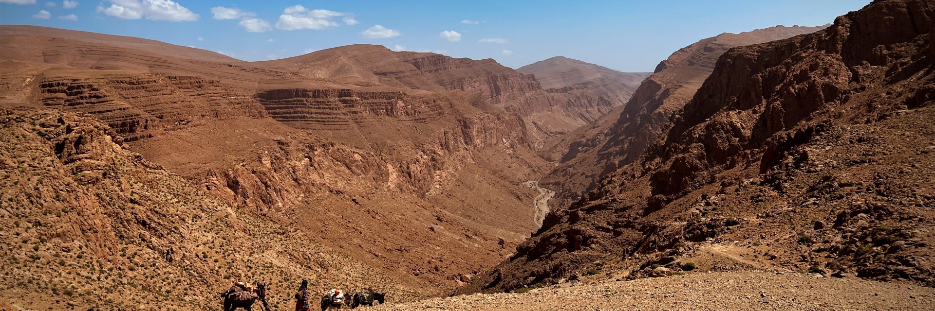 Toubkal trek