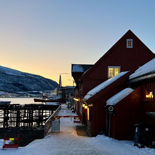 Norvegia