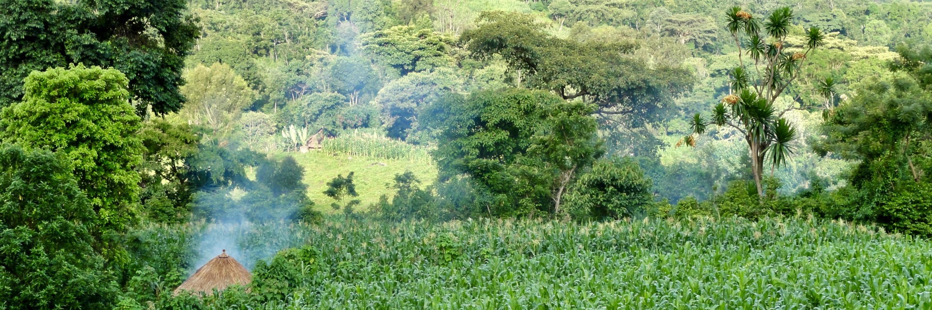 Etiopia Sud