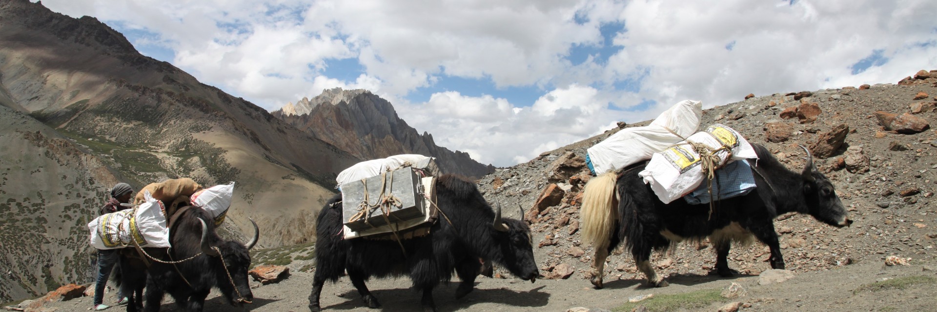 ladakh