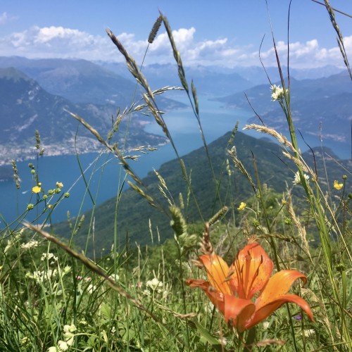 lago di como