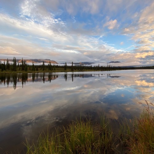 alaska