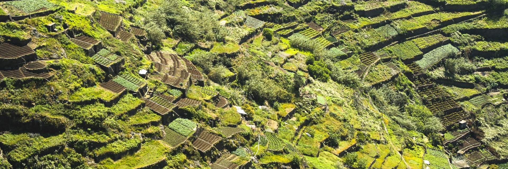 Madeira