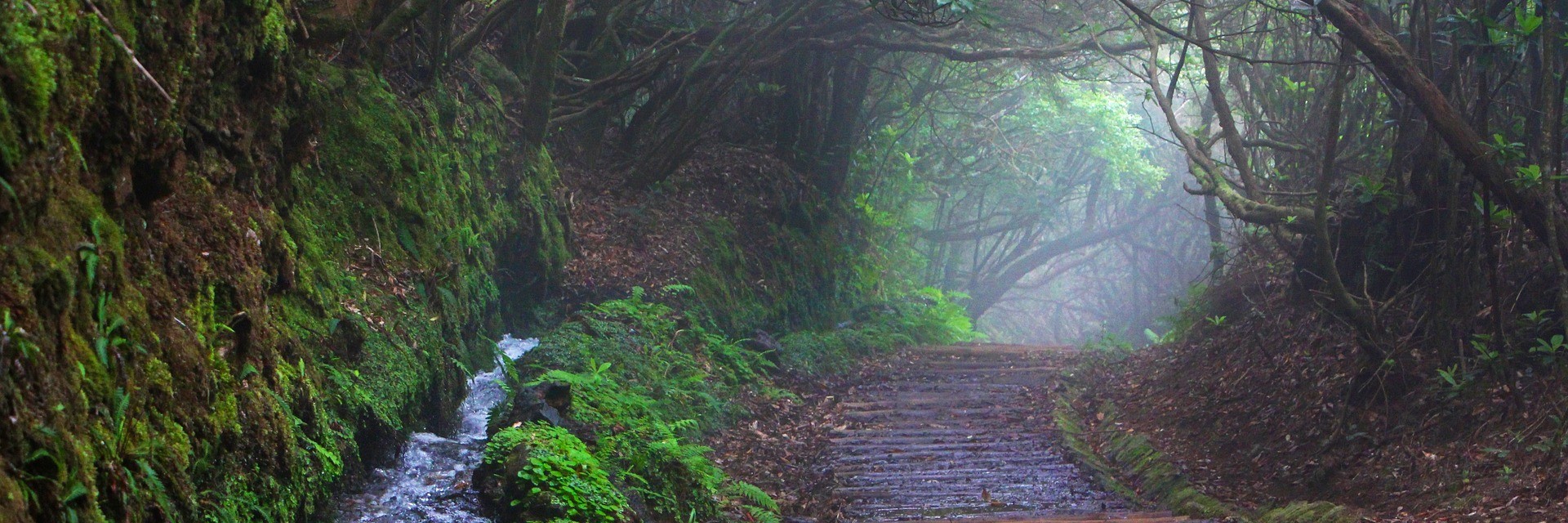 madeira