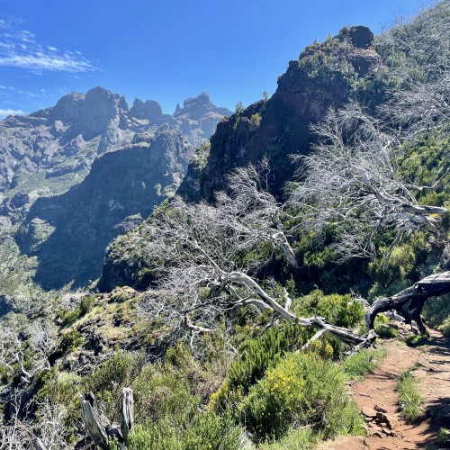 madeira