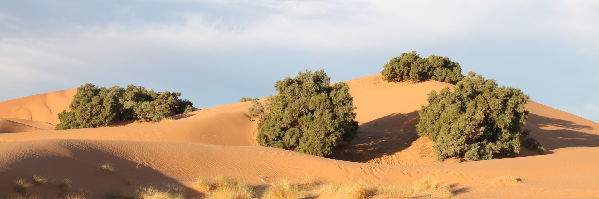 Marocco