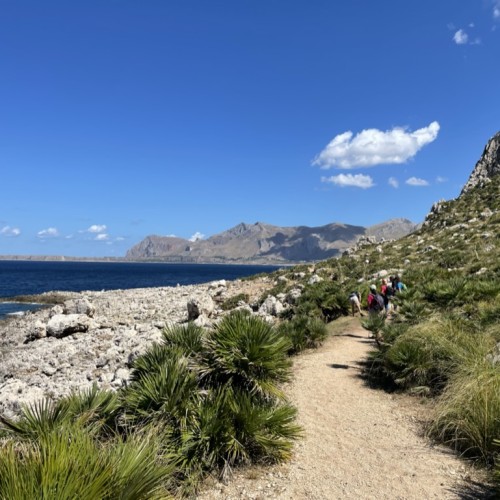 monte cofano