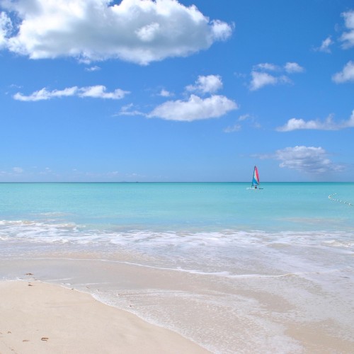 caraibi