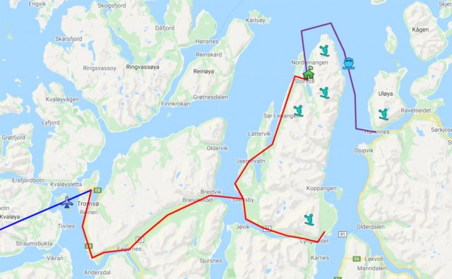 lyngen