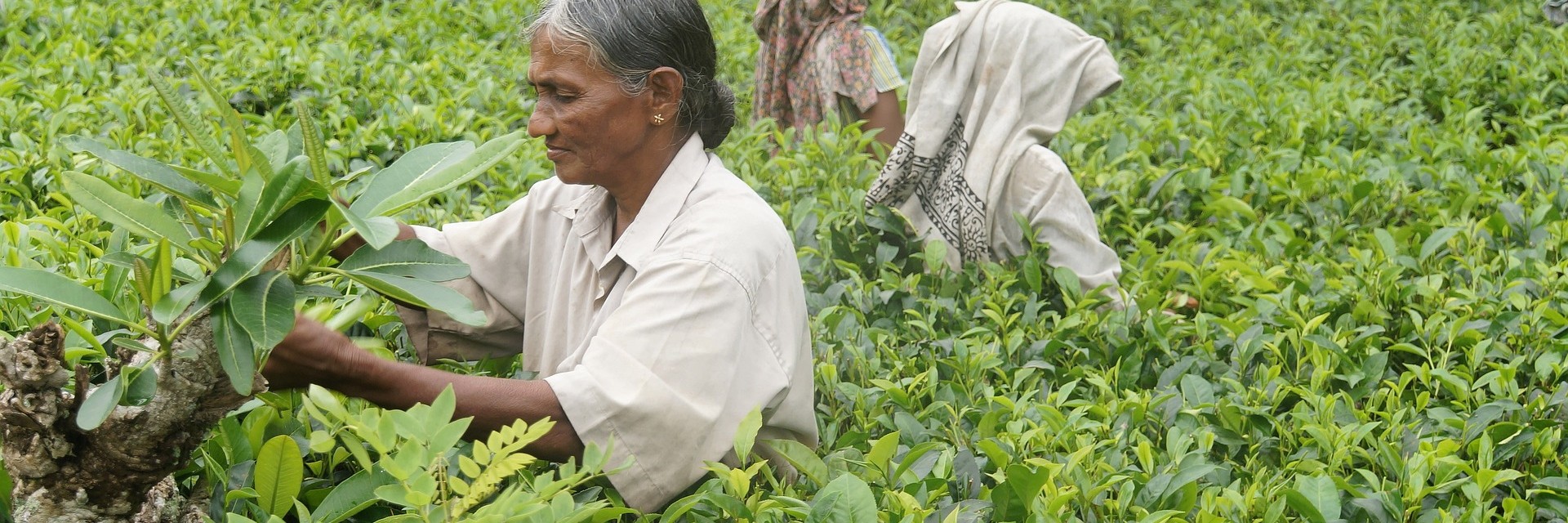 Sri Lanka