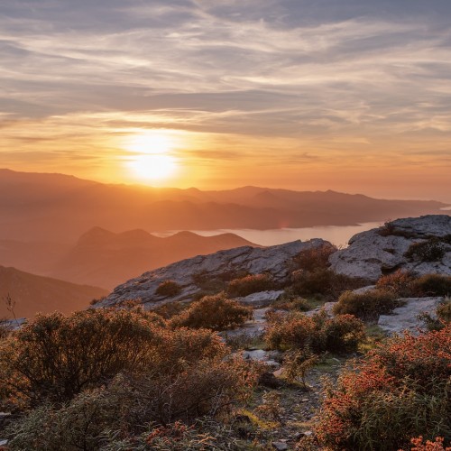 Corsica