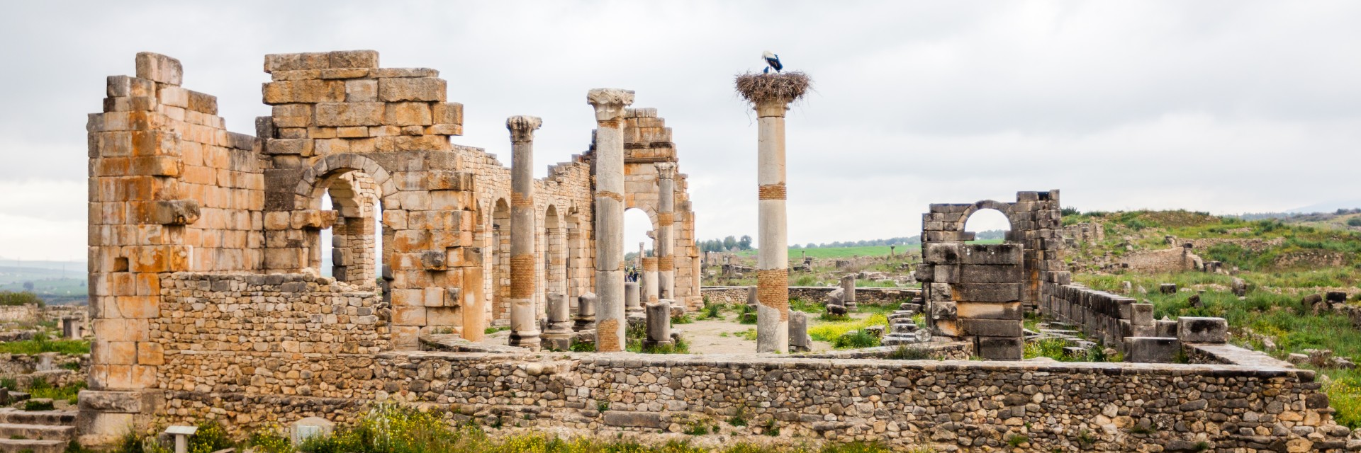 volubilis marocco